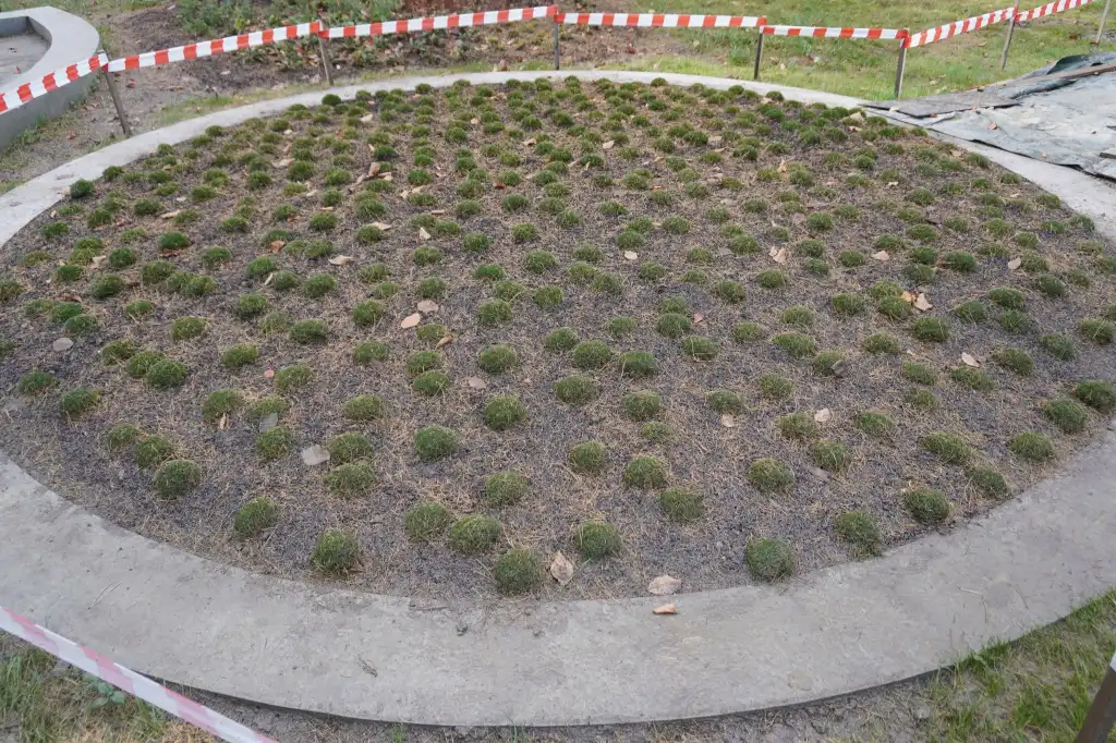 Spacer wśród sfer. Nowa atrakcja Starego Sącza nabiera kształtów