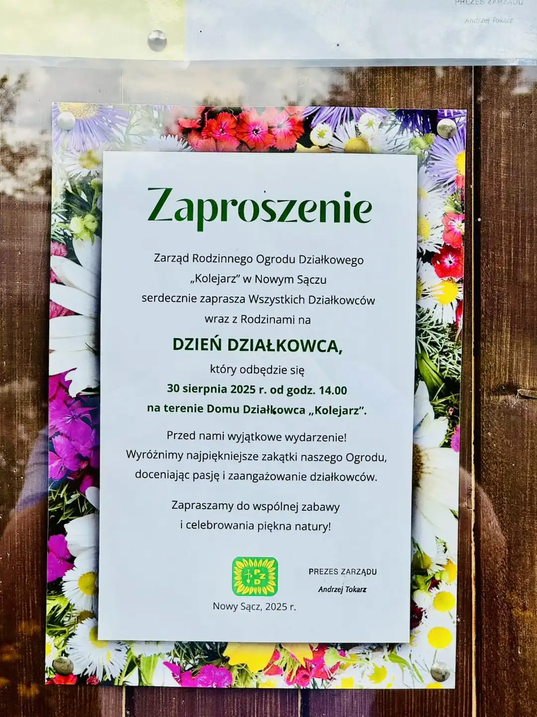 Święto działkowców w Nowym Sączu. Pasja i piękno natury na pierwszym planie