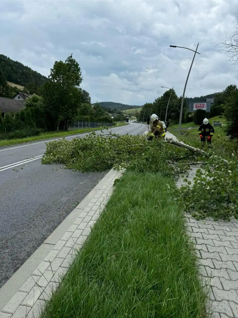 Silna wichura na Sądecczyźnie. Interweniowali strażacy