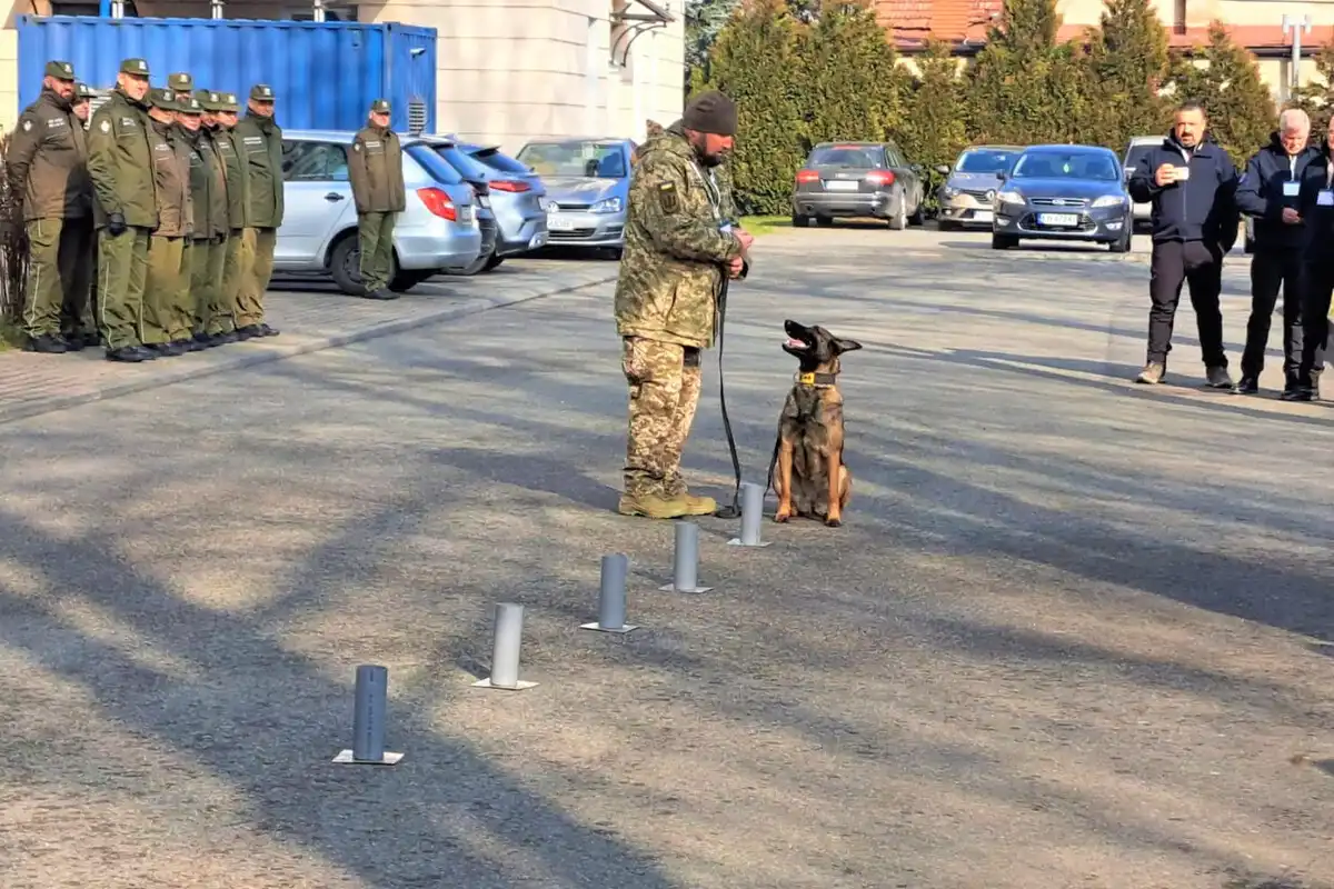 W Komendzie KaOSG przekazano ukraińskim żołnierzom psy saperskie