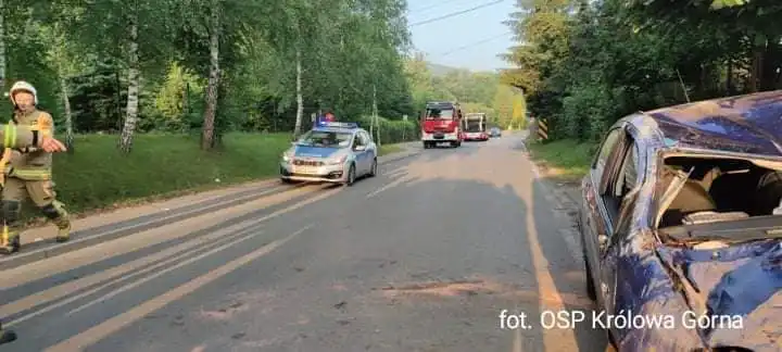 W Kamionce Wielkiej dachował samochód osobowy