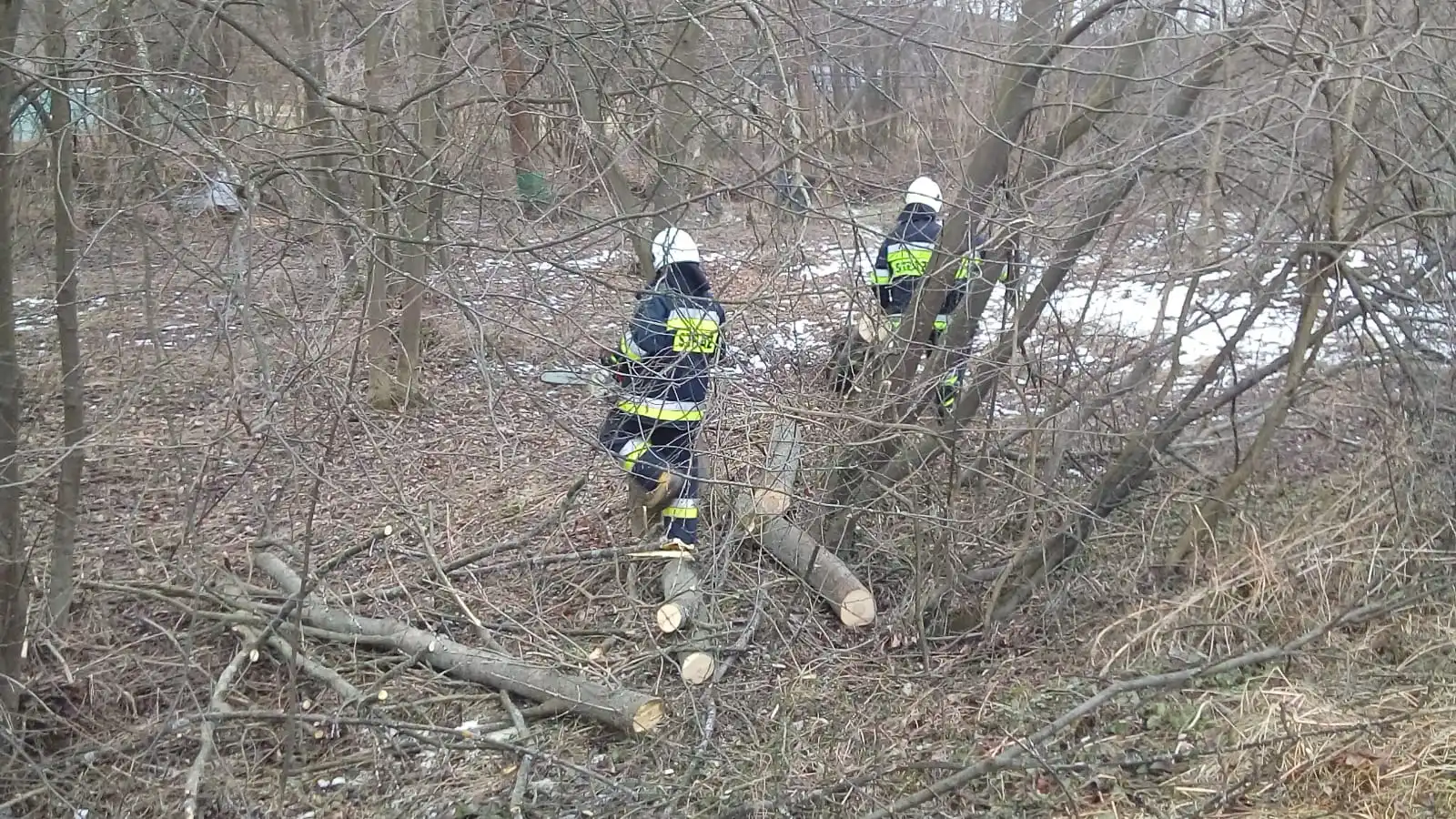 Wietrzna niedziela na Sądecczyźnie  Strażacy usuwali skutki silnego wiatru