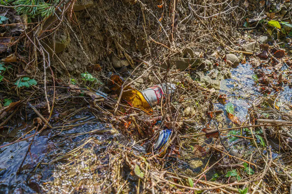 Akcja „Dbam o Sądeckie”: Pokonali blisko 14 km i zebrali 19 worków śmieci o pojemności 80 litrów