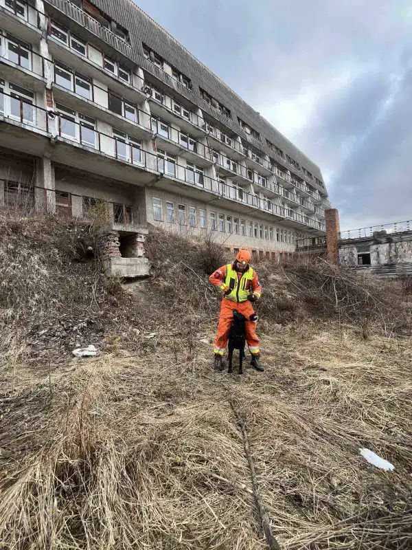 Próba w opuszczonym hotelu. Psy ratownicze OSP Nowy Sącz na szkoleniu