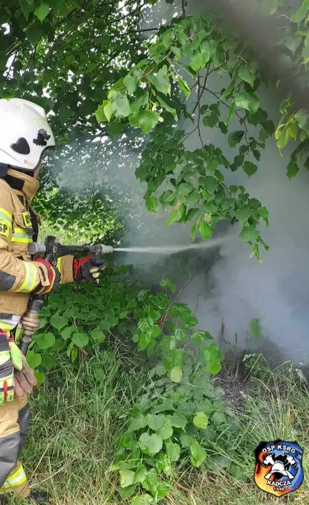 Akcja ratunkowa w Kadczy. Płonące drzewo i kierowca z dusznościami
