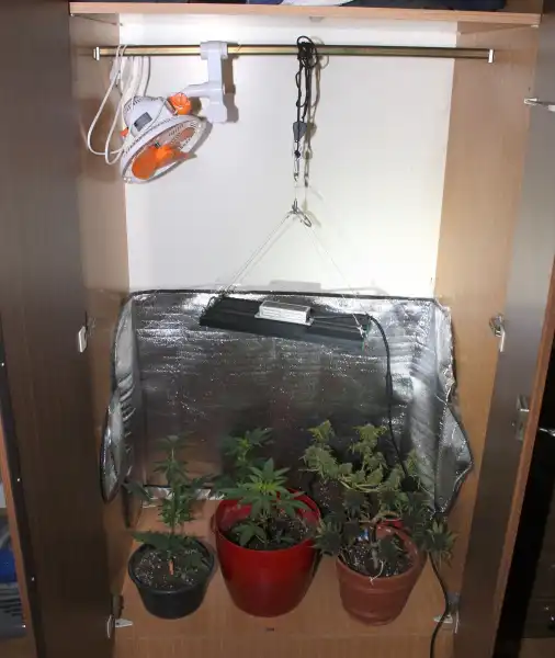 Wezwał policje bo zdawało mu się że zabił swoją matkę. I to był początek jego kłopotów