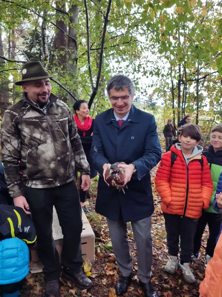 Edukacja w terenie. Zasiedlanie bażantów w Podłopieniu. Lekcja przyrody na żywo