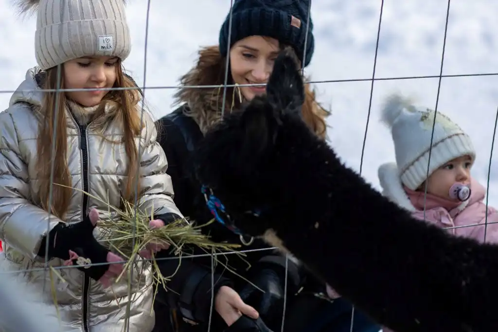 Jarmark Bożonarodzeniowy w Miasteczku Galicyjskim za nami