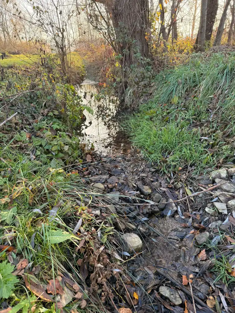 Czy Poręba Mała doczeka się regulacji potoków? Mieszkańcy apelują do Wód Polskich