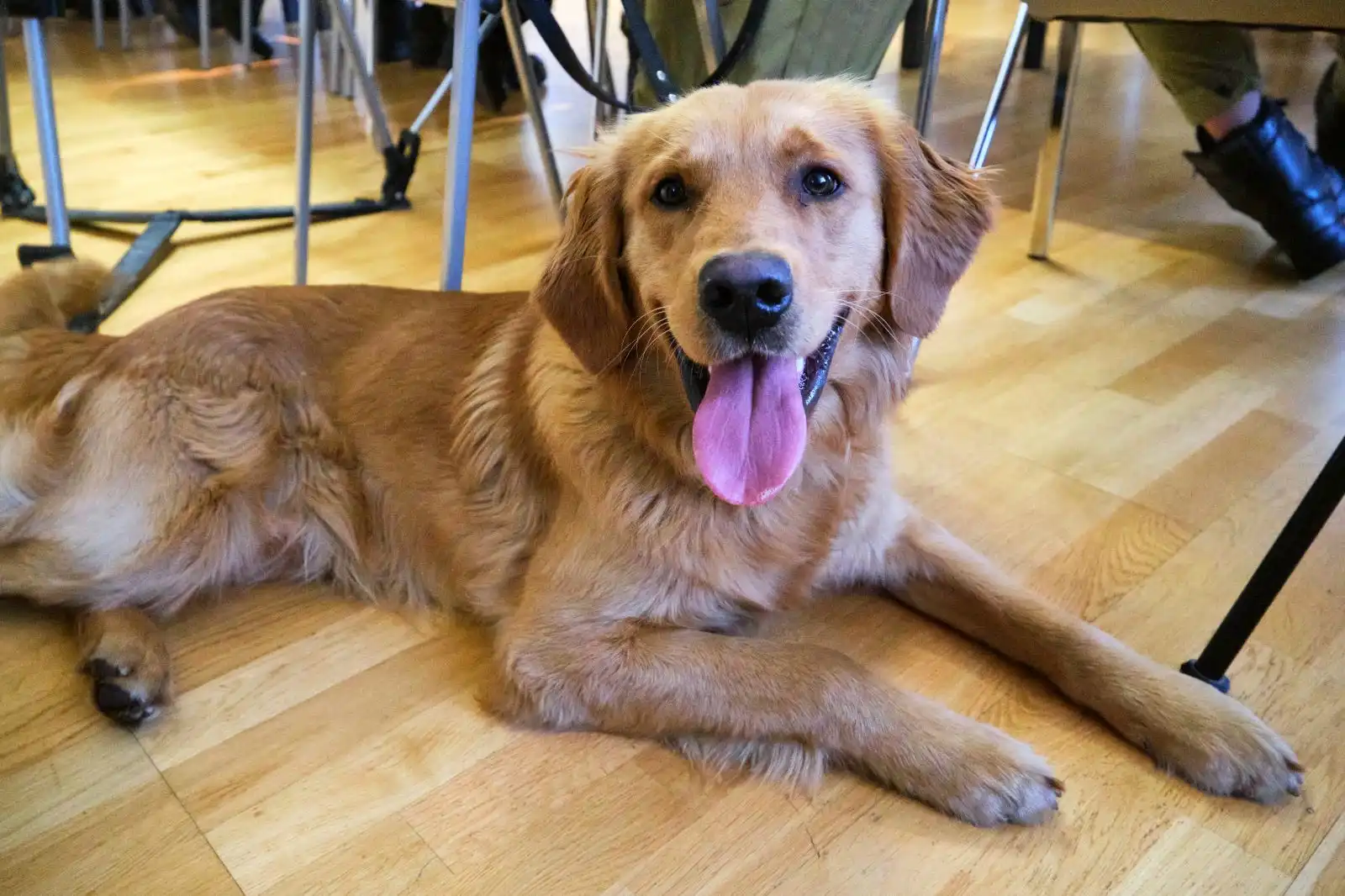 Nowosądeccy bohaterowie ze Specjalistycznej Grupy Poszukiwawczo-Ratowniczej