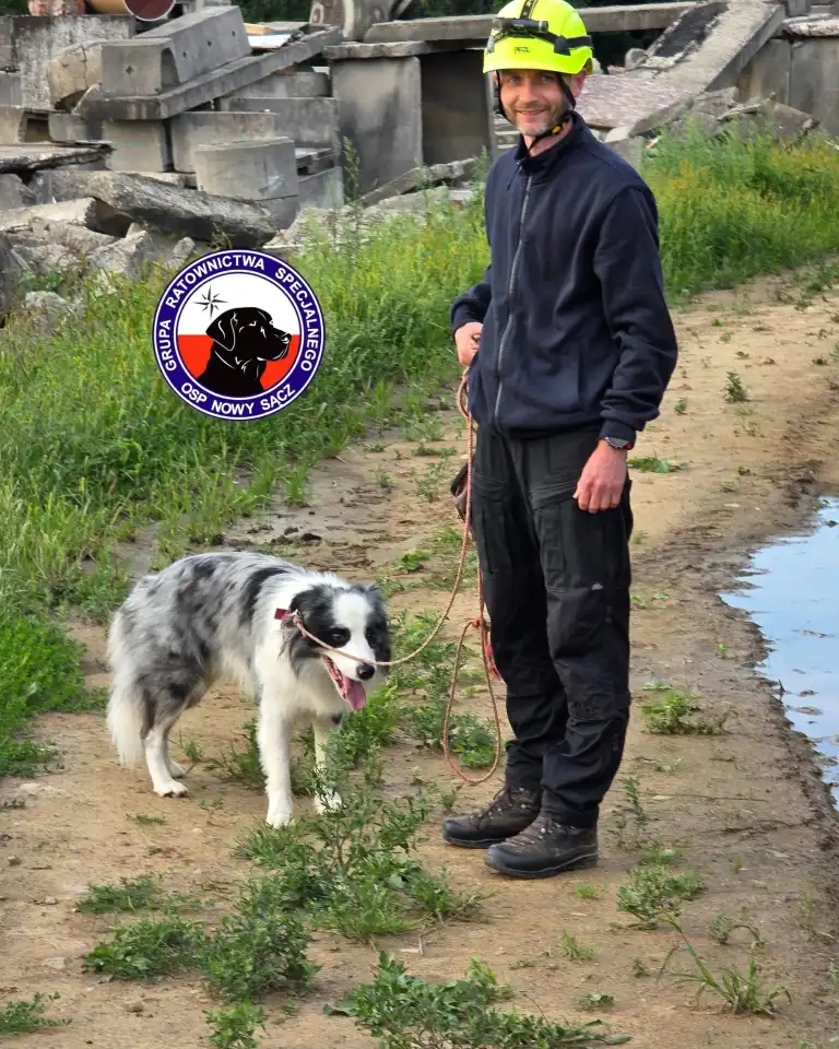 Ratownicy OSP i ich psy w akcji. Intensywny trening na gruzowisku