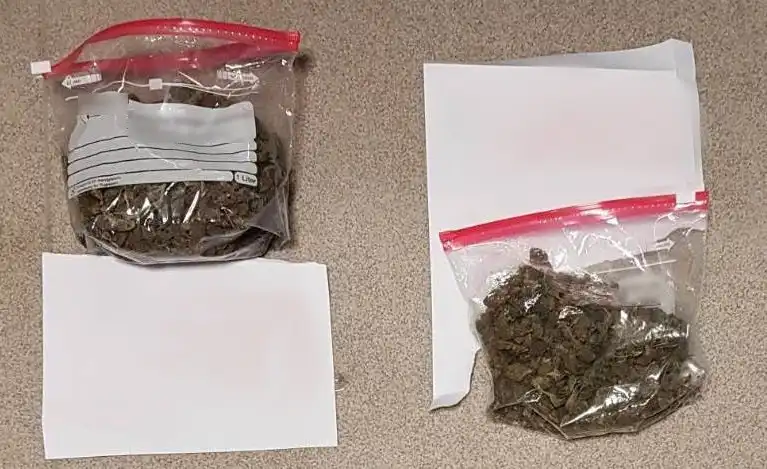 Sądecczyzna: 21-latek miał narkotyki w mieszkaniu. W czasie zatrzymania zaatakował policjantów