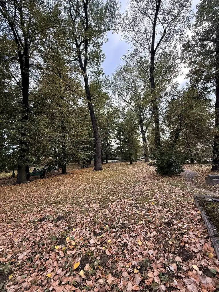 Mieszkańcy i miasto dla Parku Kolejowego