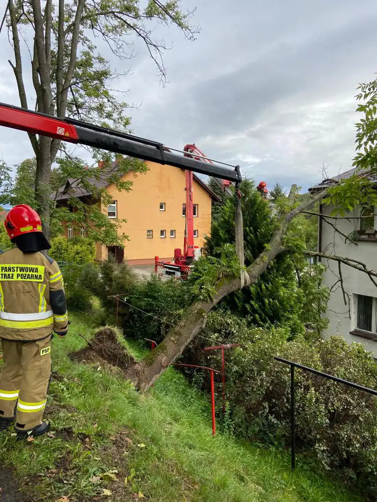 W Jazowsku drzewo spadło na dach budynku mieszkalnego