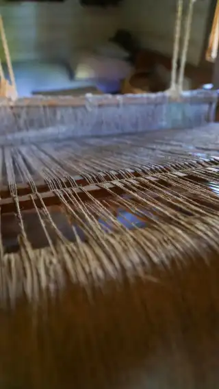 Muzeum Okręgowe w Nowym Sączu realizuje projekt „Drzewo świata – rośliny w kulturze ludowej Sądecczyzny