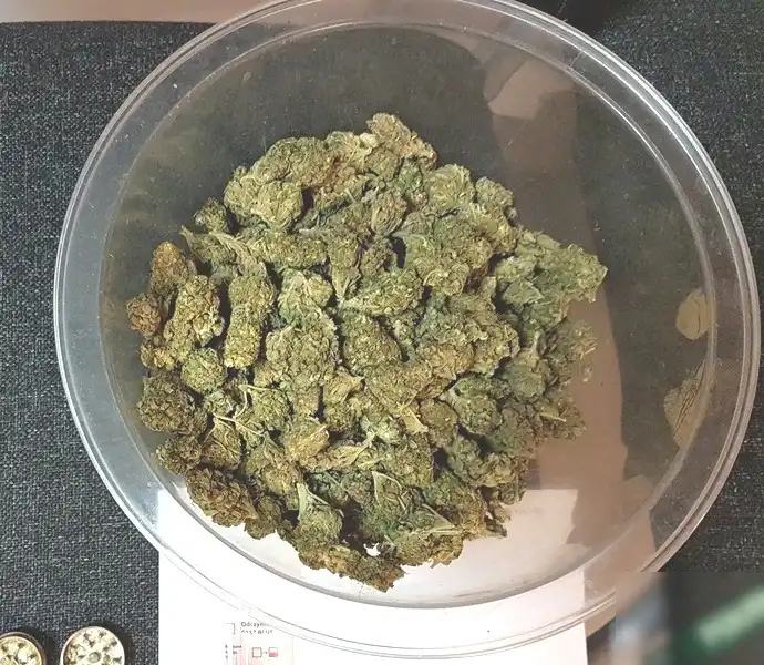 Nowy Sącz: 33-latek trzymał narkotyki w mieszkaniu. Grozi mu nawet do 10 lat więzienia