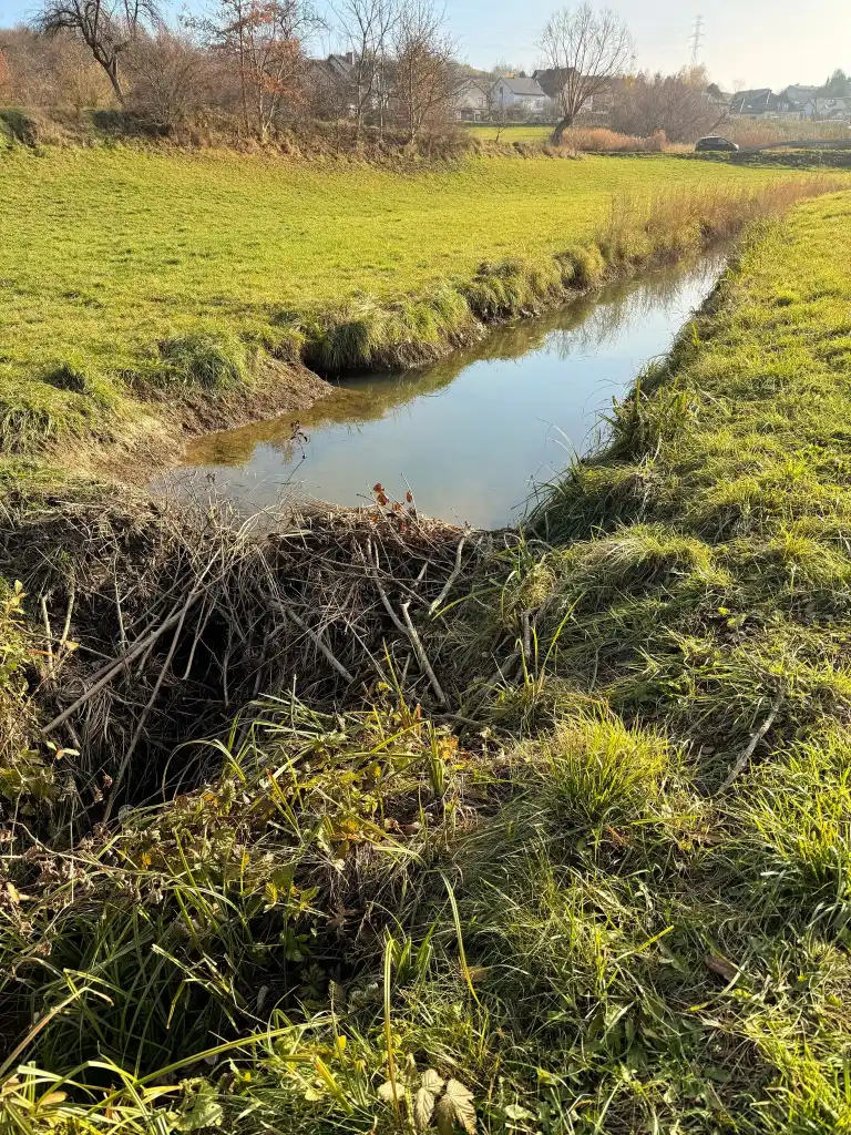 Czy Poręba Mała doczeka się regulacji potoków? Mieszkańcy apelują do Wód Polskich