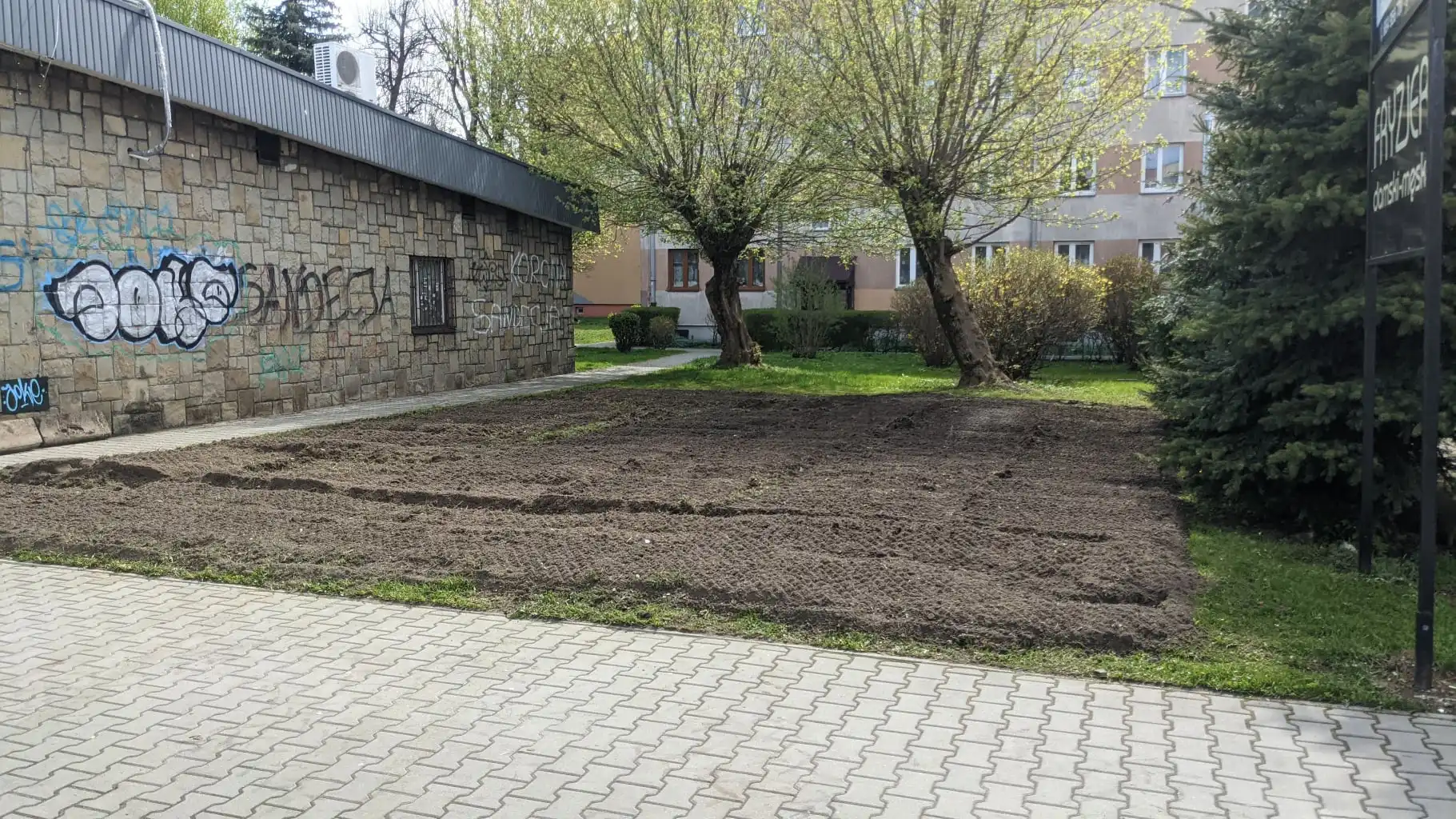 Nowy Sącz: Na Osiedlu Kochanowskiego powstała pierwsza łąka kwietna