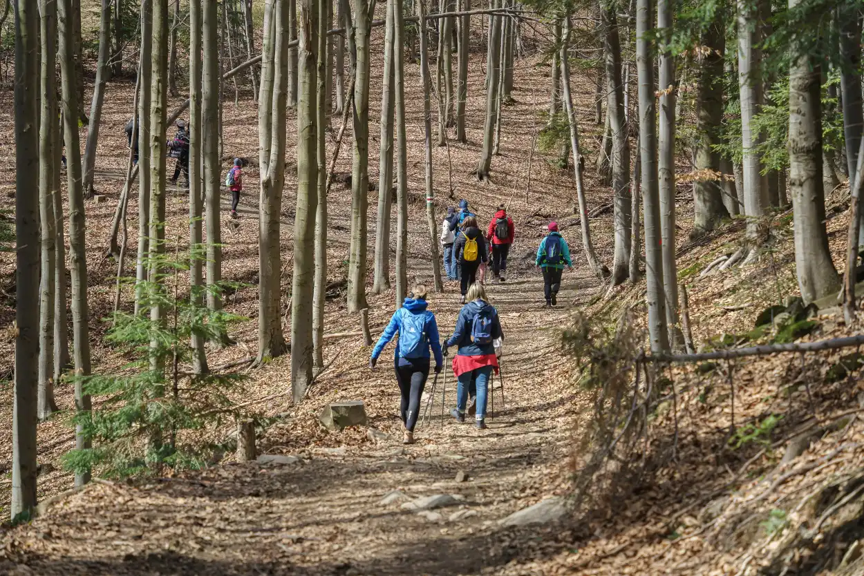Akcja "Śmieci skrzydeł nie mają" po finale