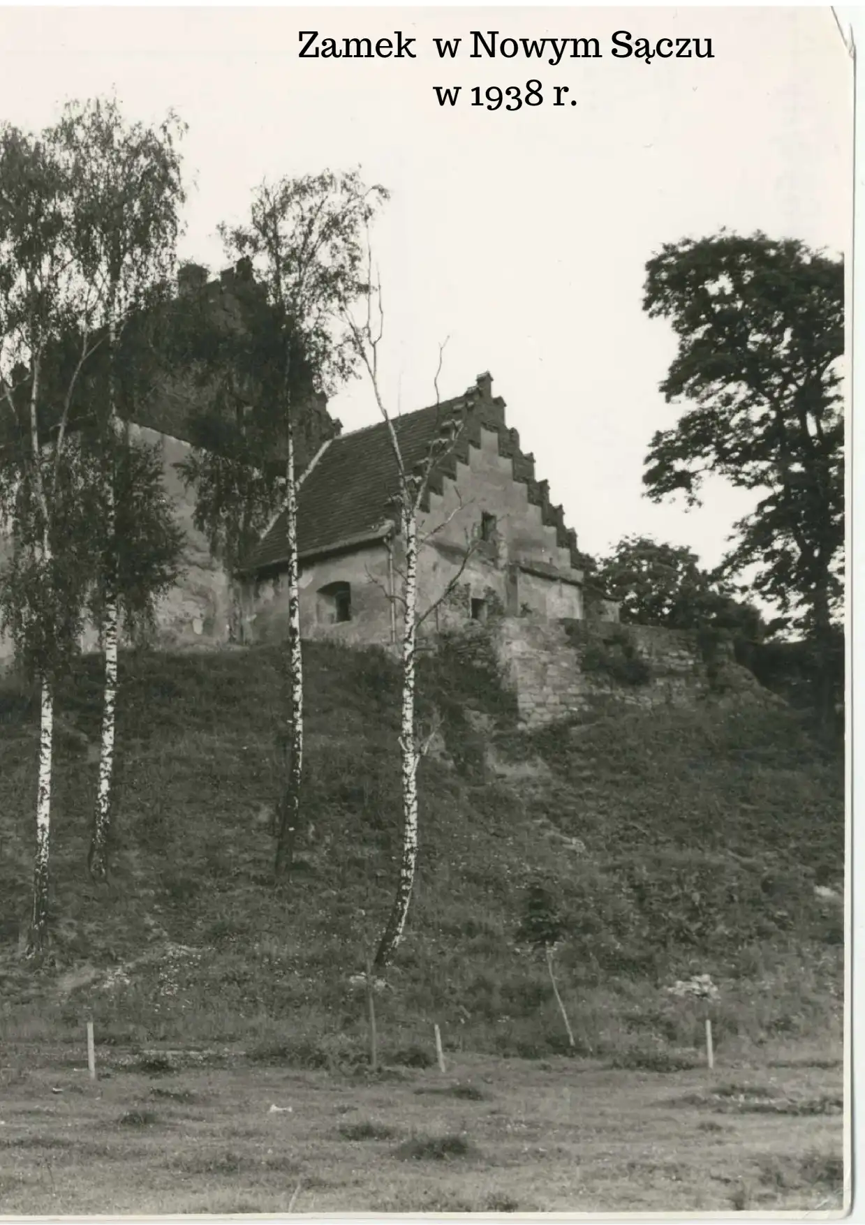 Sądecki ratusz przedstawia ostateczną koncepcje odbudowy Zamku w Nowym Sączu