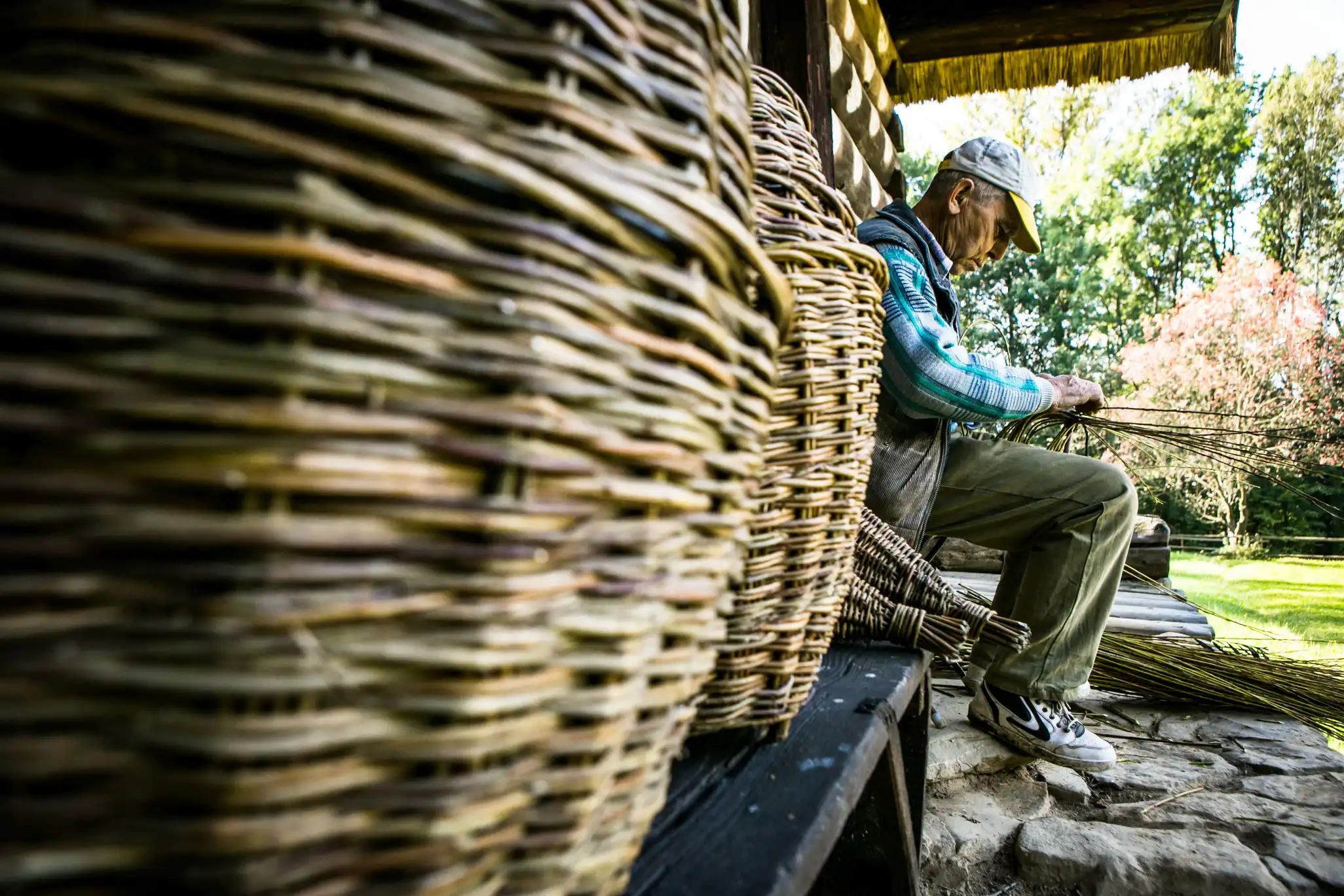 Muzeum Okręgowe w Nowym Sączu realizuje projekt „Drzewo świata – rośliny w kulturze ludowej Sądecczyzny