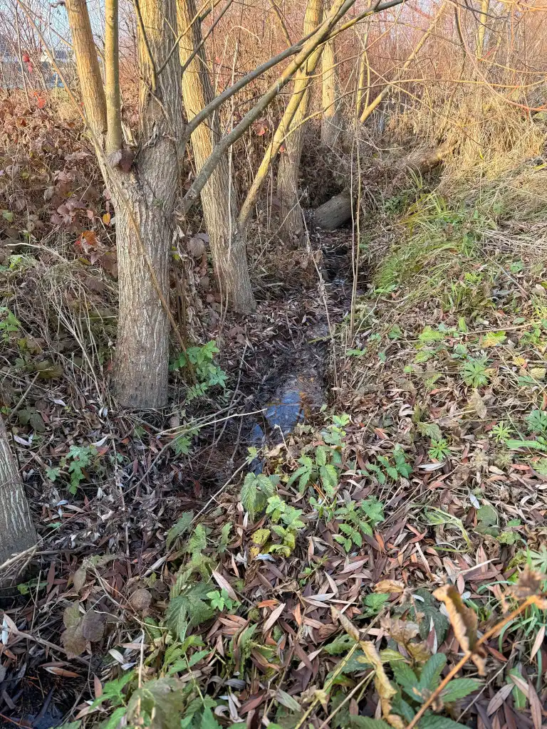 Czy Poręba Mała doczeka się regulacji potoków? Mieszkańcy apelują do Wód Polskich