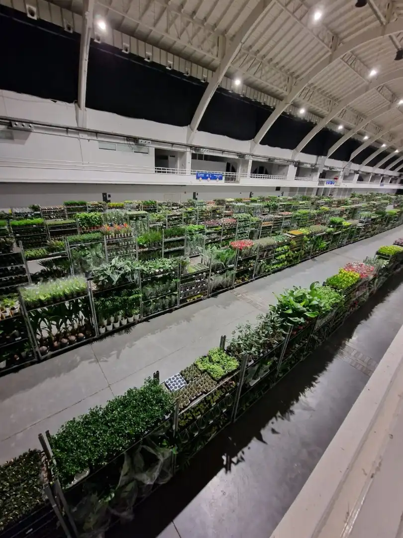 Kolejna edycja największego targu roślin doniczkowych w Krakowie!