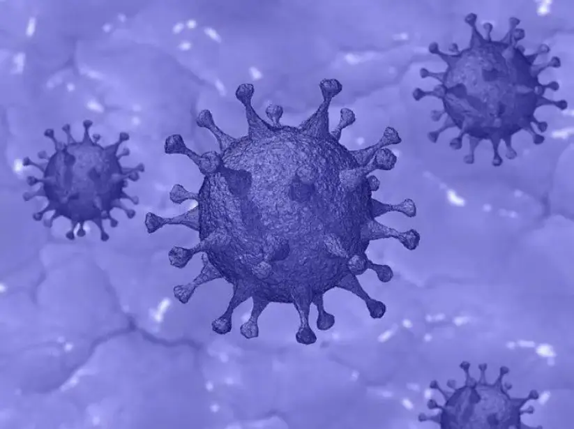 Najnowsze dane dotyczące koronawirusa (SARS-CoV-2) - 21 stycznia