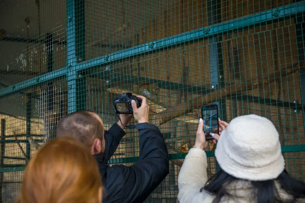 Krokusy i pierwszy dzień wiosny w muszyńskich ogrodach