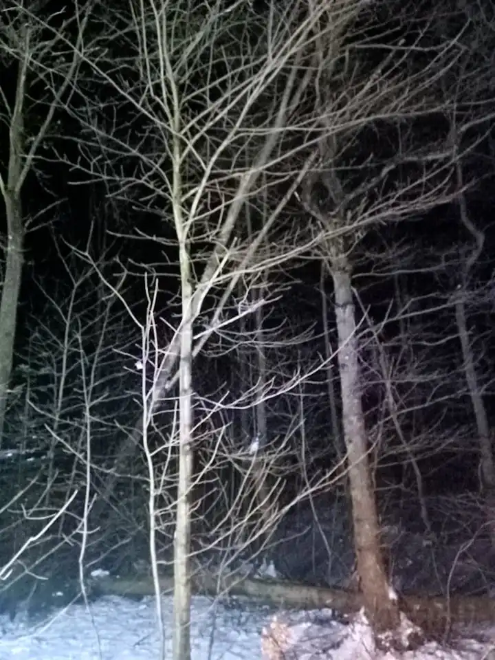 Wietrzna niedziela na Sądecczyźnie  Strażacy usuwali skutki silnego wiatru