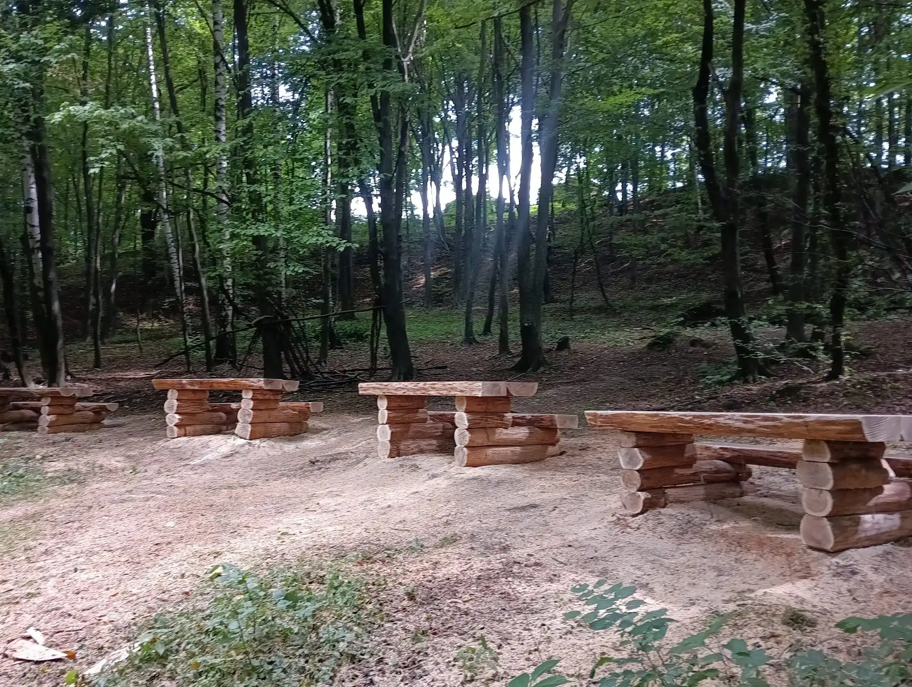 Nowy Sącz: trwa rewitalizacja Lasku Falkowskiego