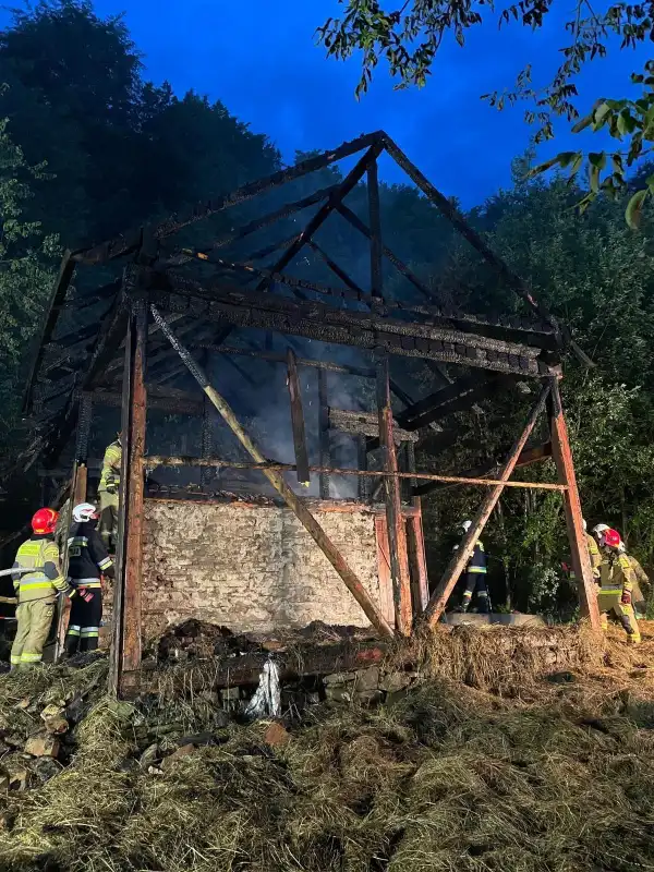 Pożar w Zabrzeży. Spłonął budynek gospodarczy