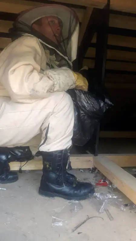 Krynica-Zdrój: osy na placu zabaw. Interweniowali strażacy