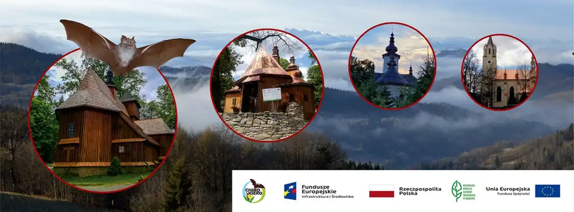 Projekt „Chiroksero” w Powiecie Nowosądeckim