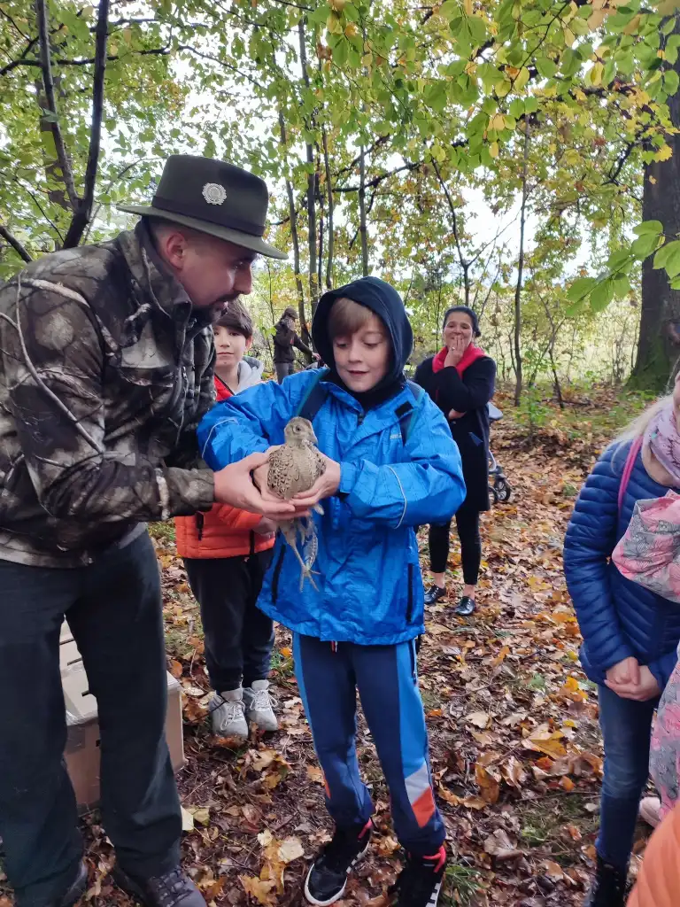 Edukacja w terenie. Zasiedlanie bażantów w Podłopieniu. Lekcja przyrody na żywo