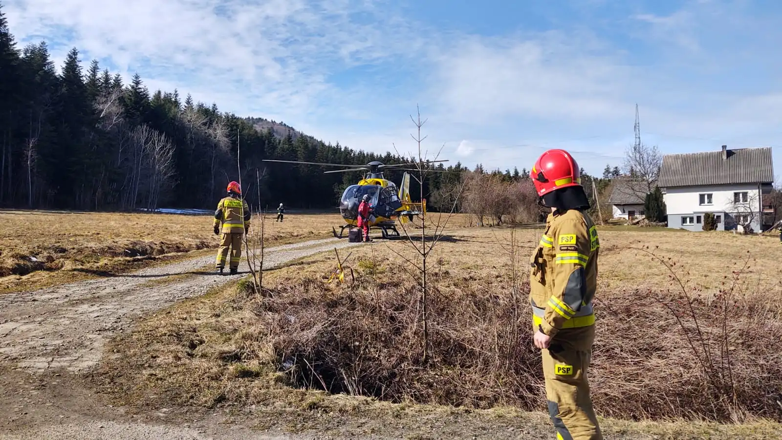 Stara Wieś: śmiertelny wypadek przy wycince drzew