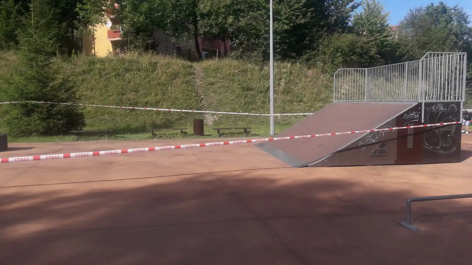 Krynica-Zdrój: osy na placu zabaw. Interweniowali strażacy