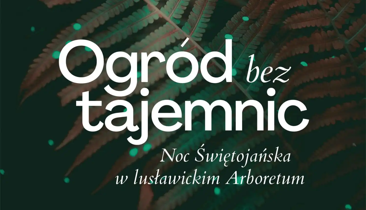 Małopolska: Wydarzenia kulturalne na weekend 23 - 26 czerwca