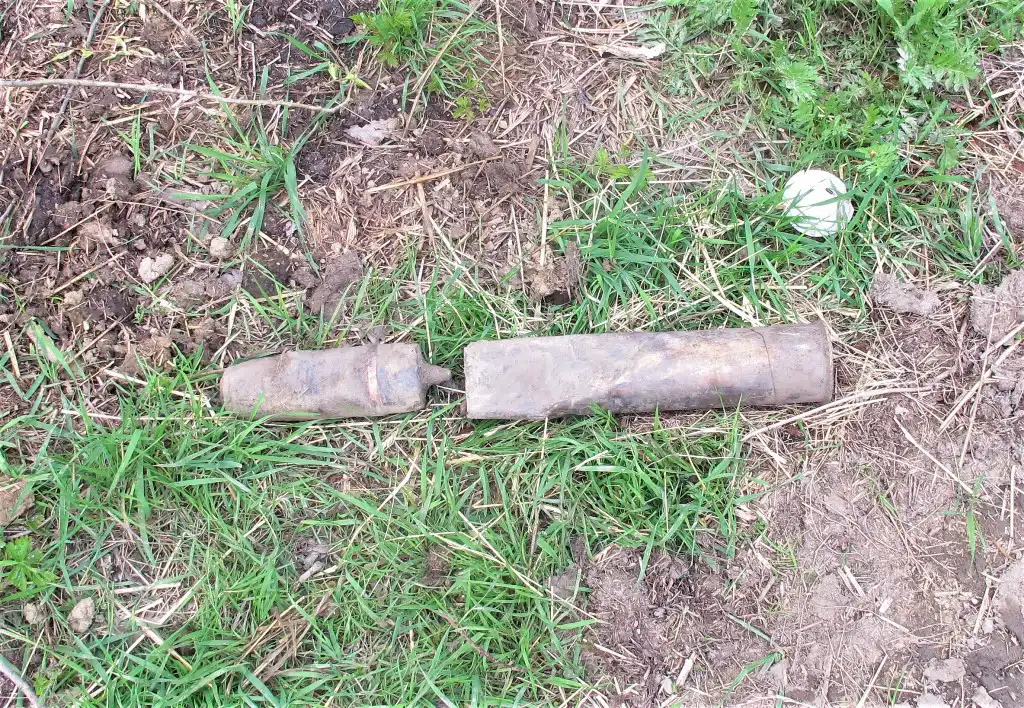 Rzadko spotykane znalezisko w pobliżu polnej drogi