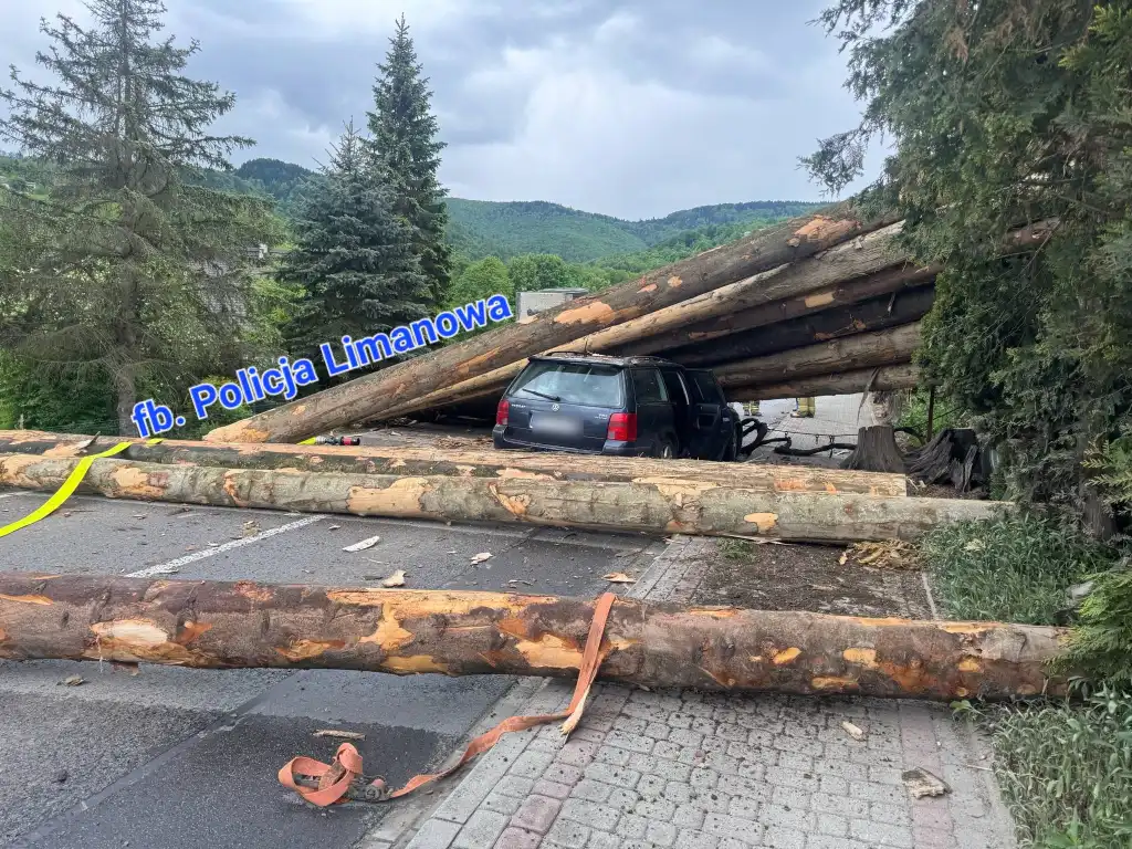 Groźny wypadek w Laskowej. Drewno spadło na auto po czołówce!