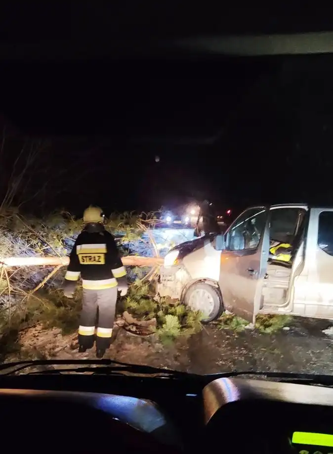 Wietrzna niedziela na Sądecczyźnie  Strażacy usuwali skutki silnego wiatru