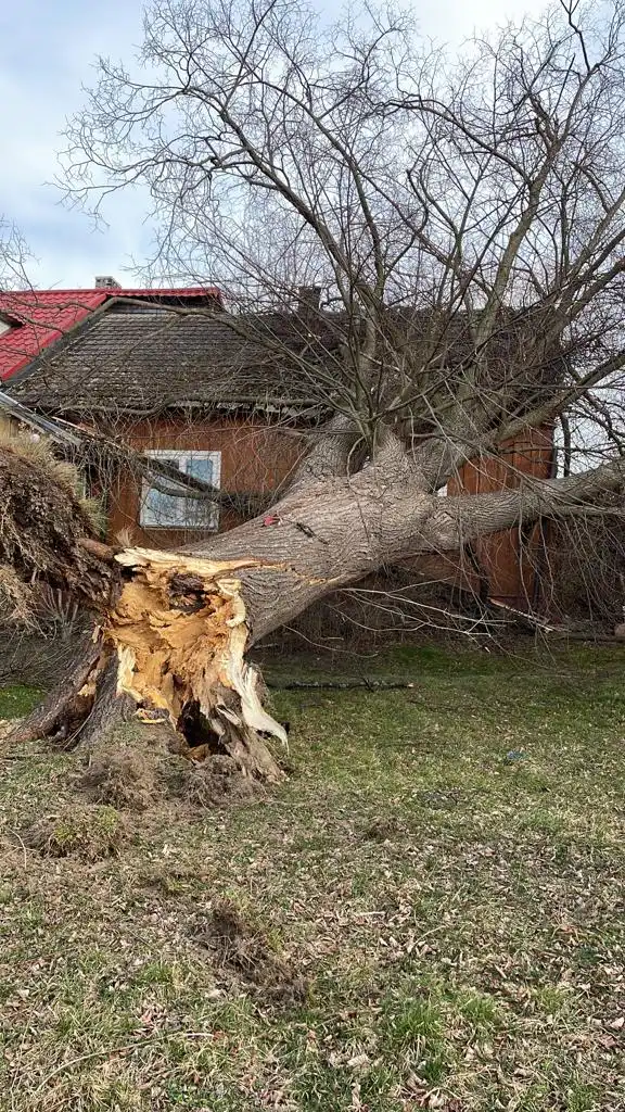Silnie wiejący wiatr na Sądecczyźnie przysporzył pracy strażakom. W dwa dni interweniowali ponad 40 razy