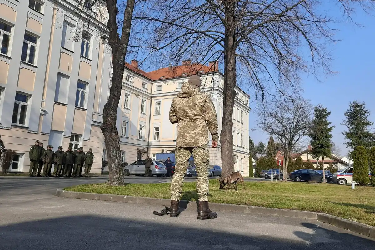 W Komendzie KaOSG przekazano ukraińskim żołnierzom psy saperskie