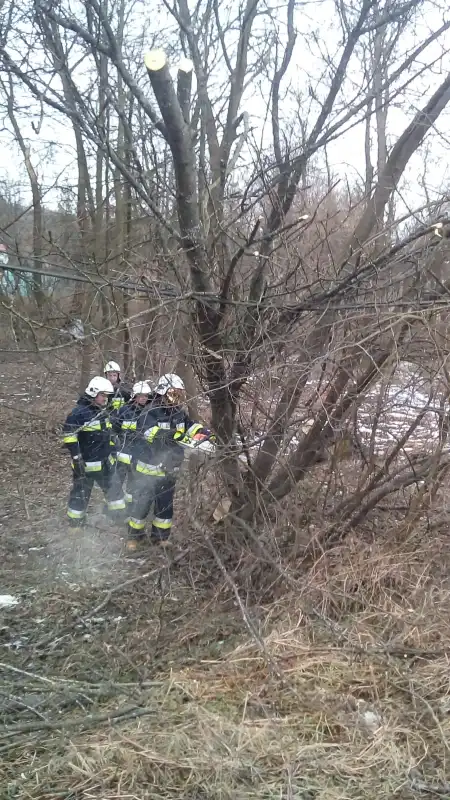 Wietrzna niedziela na Sądecczyźnie  Strażacy usuwali skutki silnego wiatru