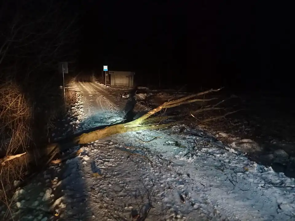 Wietrzna niedziela na Sądecczyźnie  Strażacy usuwali skutki silnego wiatru