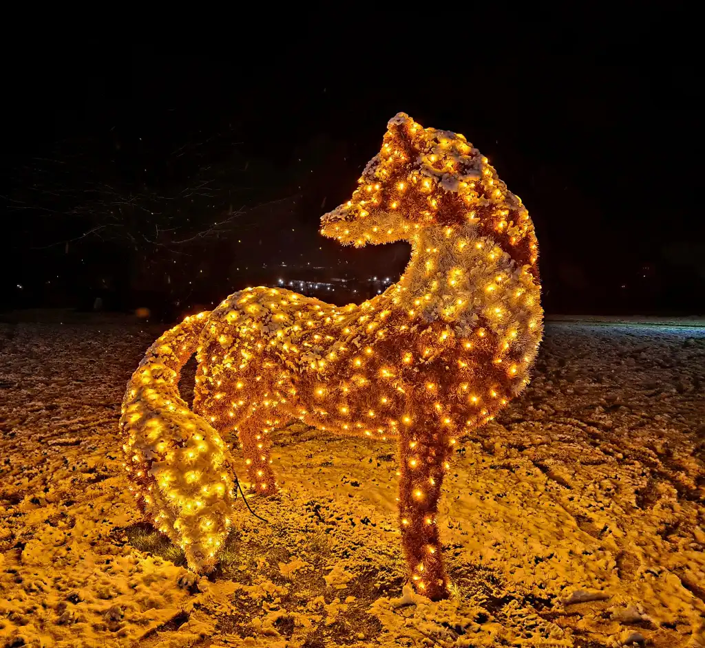 Muszyna pełna świątecznego blasku