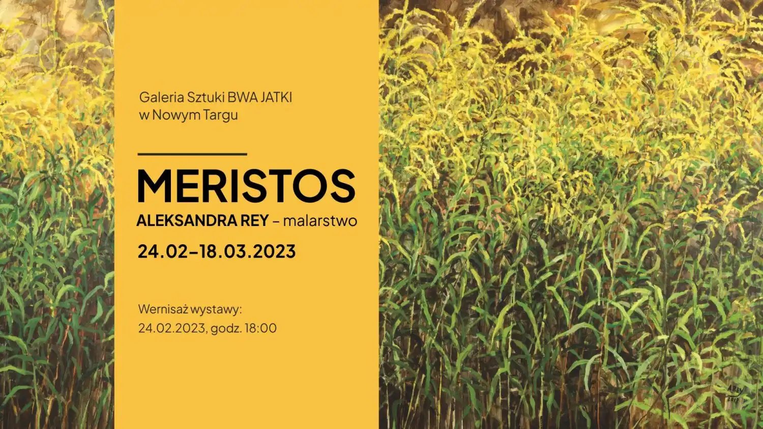 Małopolska: Wydarzenia kulturalne na weekend 23 - 26 luty