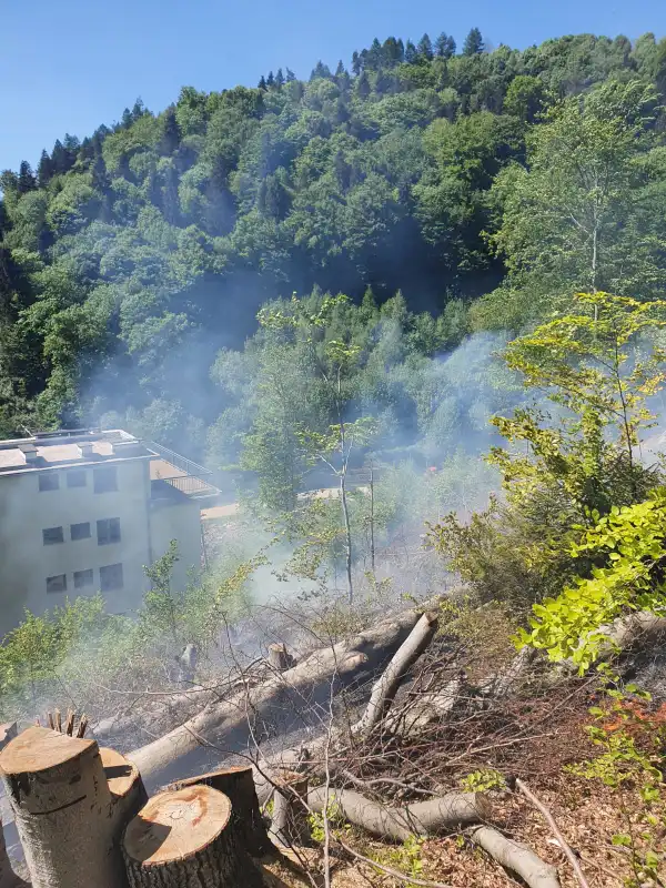 Pożar lasu w Żegiestowie. Z ogniem walczyło 12 zastępów straży