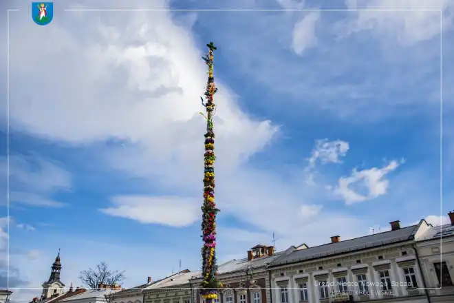 Obok nowosądeckiego ratusza stanęła palma wielkanocna