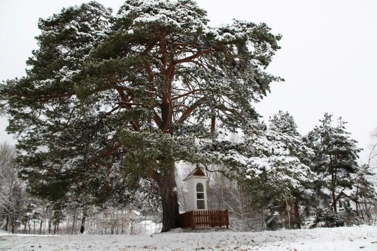 Zniszczona Kapliczka z 1858 roku odzyskała blask dzięki pracom konserwatorskim